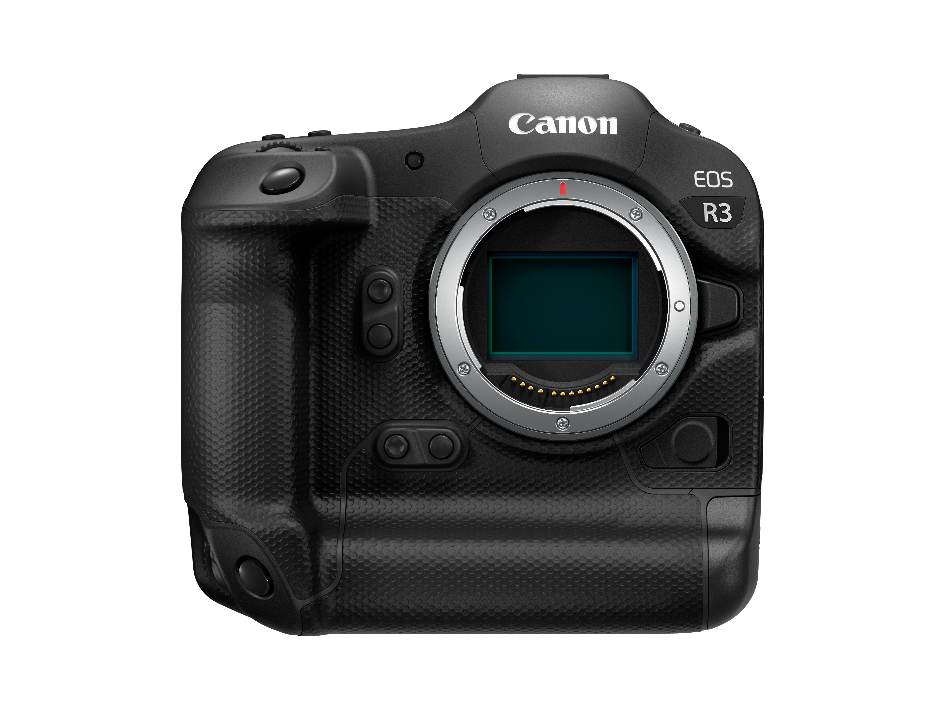 EOS R3 Image 3