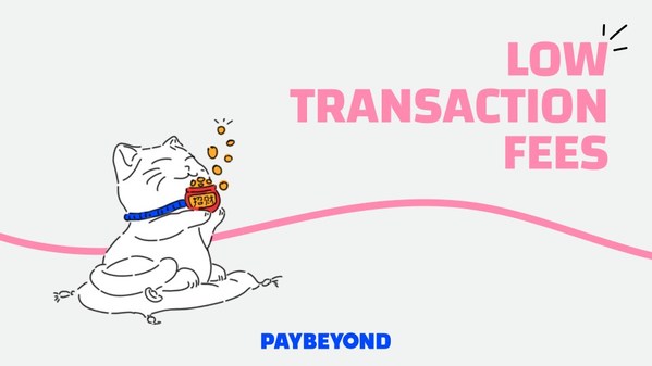 Convert the balance at a lower exchange rate than traditional banking remittance