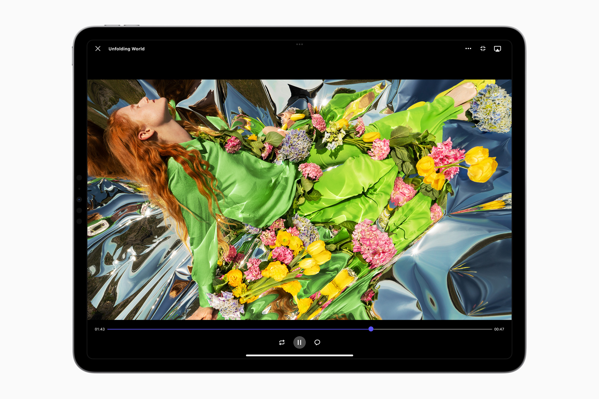 Apple iPad Pro Reference Mode 221018