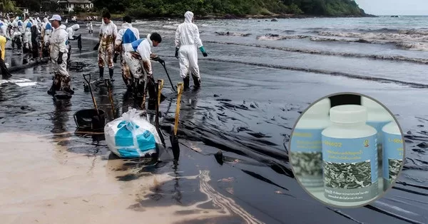 chula launches microbes to clean marine oil spill bioproducts