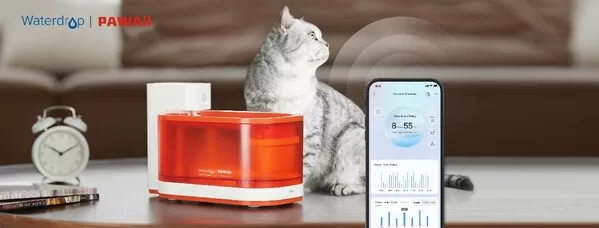 waterdrop x pawaii co branded caremi fountain the first nsf certified smart pet fountain is available on indiegogo