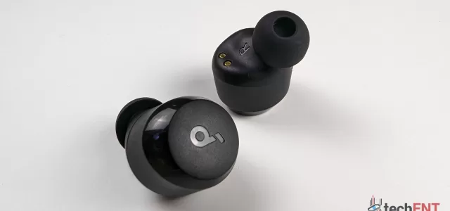 A20i buds close up