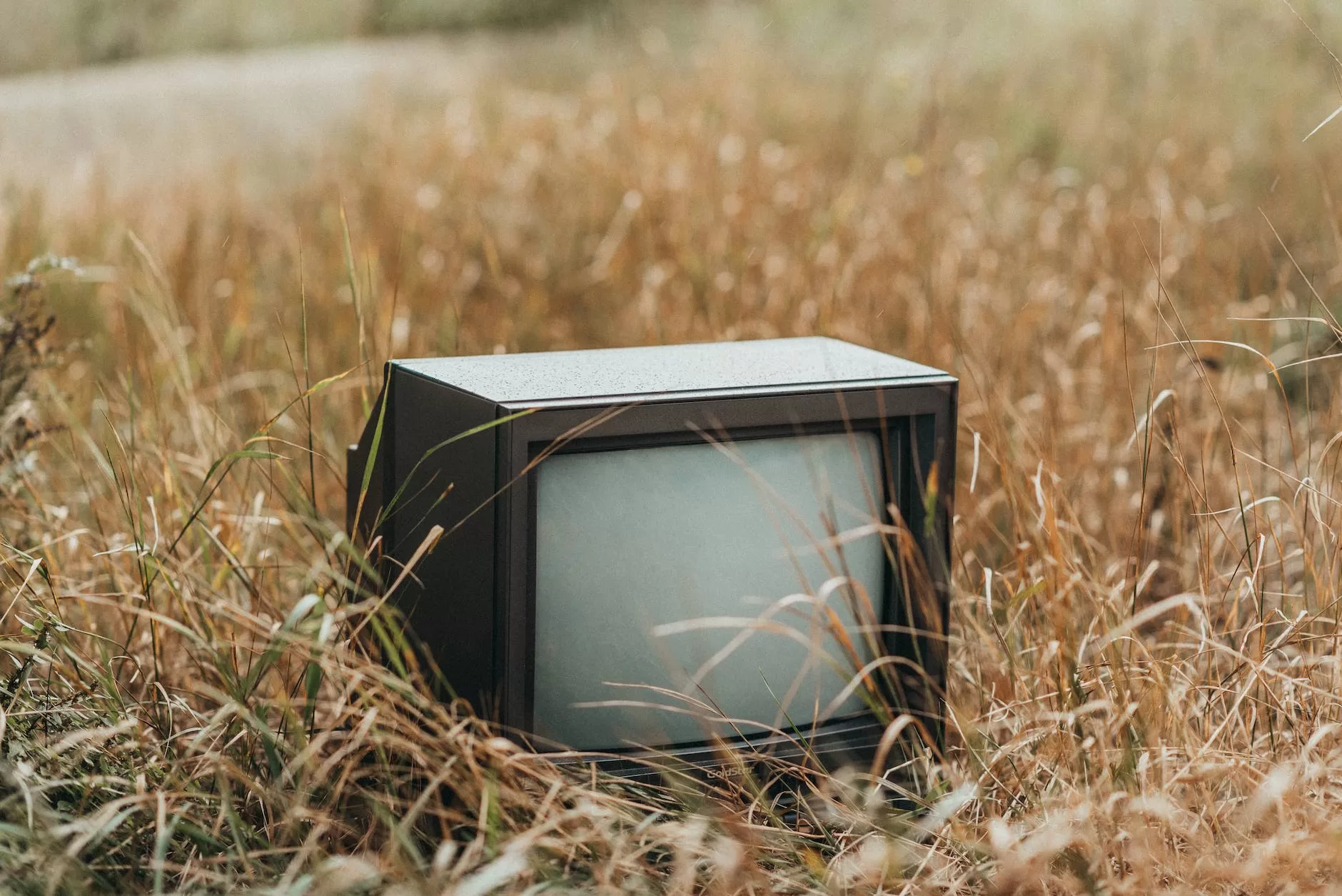 retro tv set in dried grass