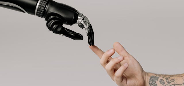 Bionic Hand and Human Hand Finger Pointing