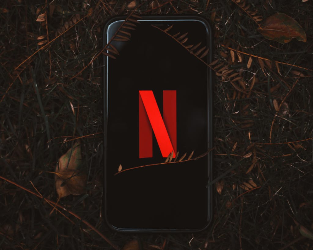 Smartphone with Netflix logo on screen, surrounded by dry leaves outdoors.