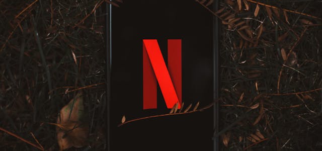 Smartphone with Netflix logo on screen, surrounded by dry leaves outdoors.