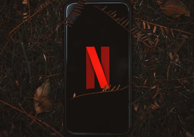 Smartphone with Netflix logo on screen, surrounded by dry leaves outdoors.