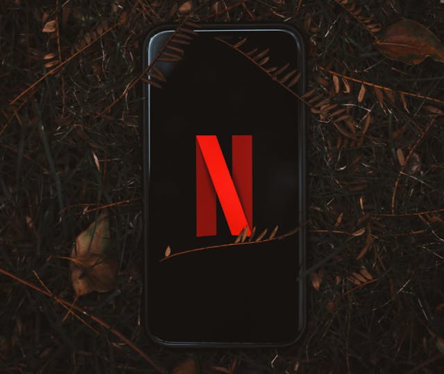 Smartphone with Netflix logo on screen, surrounded by dry leaves outdoors.