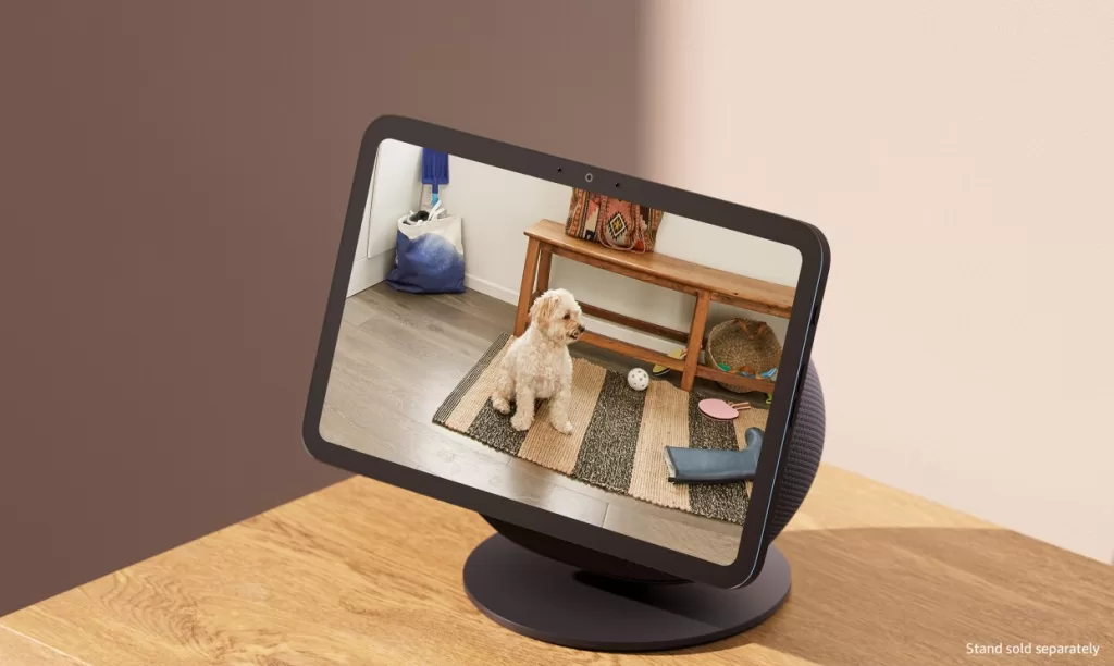 Amazon Echo Devices (1)